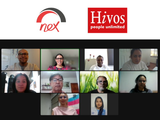 Taller en sostenibilidad institucional para las OSC socias de hivos en Centroamérica