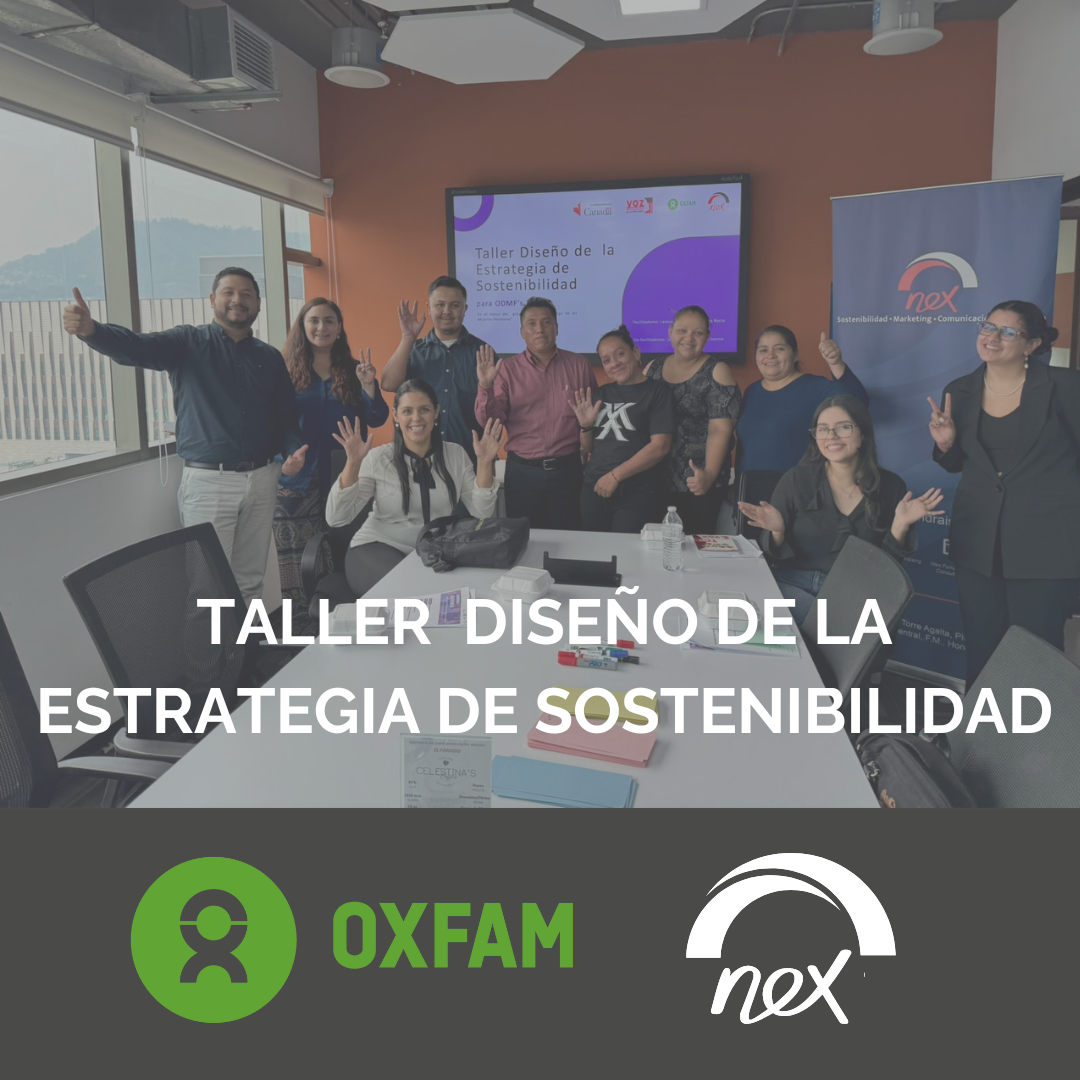 Taller Diseño de la Estrategia de Sostenibilidad en alianza con OXFAM Honduras